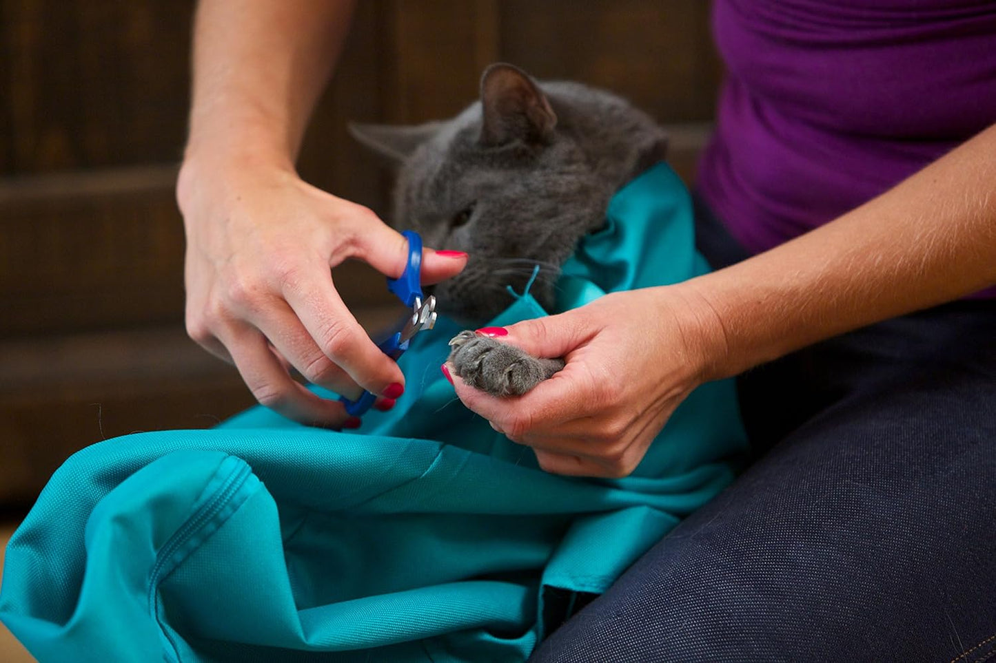 Bolsa De Transporte Portable Para Gatos